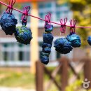 임실레드팜영농조합법인 이미지