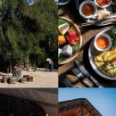 미루stay 이미지