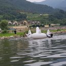 무주펜션선앤문 이미지