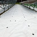 무주솔라3호 태양광 발전소 | 익산 군산 정읍 김제 고창 진안 전주 무주 / 양면모듈 태양광 흰색 반사필름 반사매트 제초매트 반사판...