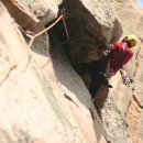 석이농장 이미지