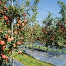 청금리마을회관 이미지