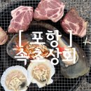 [ 포항 ] 포항 죽도시장 해산물 추천! 속초상회에서 가리비·키조개·멍게 구매 후기