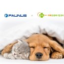 리베동물메디컬센터 이미지