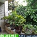 산성교회문고 이미지