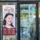 후광미인 이미지