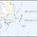 리피 이미지