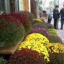 우드볼장 이미지