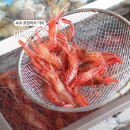 속초 포장마차 거리 숨은 야장 맛집 꽃새우 닭새우 아지트