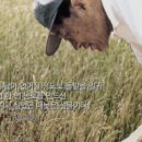 서린농장 이미지