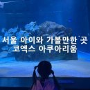대소피시샵 | 서울 아이와 가볼만한곳 강남 실내 코엑스아쿠아리움입장권 할인 및 공연정보
