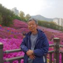 철쭉동산 이미지