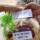 태국 파타야 다빈치 풀빌라 자유여행 가성비 숙소 추천