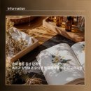 참빛한의원 | 손목 통증 증상 단계별 특징과 일상에서 유의할 점 손목약침 적용 시 고려사항