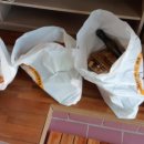 소포경로당 이미지