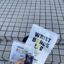 어슬렁 어슬렁 콘서트 3. 브로콜리너마저 | [문화] 2026 A&amp;E 박효신콘서트, 7년의 여행을 마치고 비로소 집에서 만난 우리