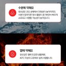 겸이유통 | 9개월 아기 활성 유산균 추천 그로우랩 데이프로바