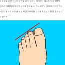 ‘발가락 모양’으로 보는 재미있는 성격 테스트 이미지