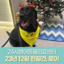 로이병원 이미지