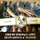 수삼랜드 이미지