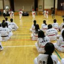 세종태권도 이미지