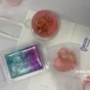 율포초등학교 이미지