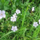 명덕레져 이미지