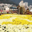 [테마2023년11월 4일토요일 일요일 ] 바다를 품은길~ 창원 저도 비치로드길 마산국화축제경유 안내 이미지