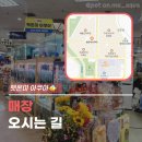 펫온미아쿠아