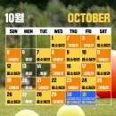 이마트24 춘천더퍼스트점 | 반려견 동반 춘천 1박2일 여행 솔직 후기