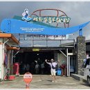 표선오일시장 이미지