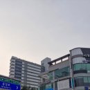 오늘해냄학원 | 행신동 요가 해냄GX스튜디오에서 근막테라피 수업 후기