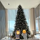 웰컴스테이(거제한화오션점) | 휴양의 정점, 평일 특가로 누린 한화리조트 거제 벨버디어 완벽 스테이 후기 (가성비, 컨디션 극찬!)