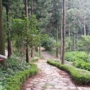 다덕파크 이미지