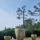 씨사이드파크 영종진 화장실 이미지