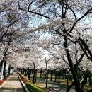 시청 별관 앞 이미지