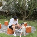 하귤소담 이미지