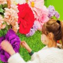 이레장식 이미지