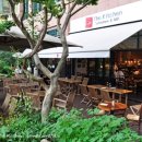 더키친살바토레쿠오모압구정점 이미지