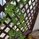 이레축산2 이미지