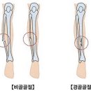 MJ 퍼스널 트레이닝 이미지