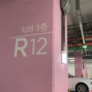 막둥이 보러 개똥이네 대장 둘 서울 출동 (۶•̀ᴗ•́)۶ ·—̳͟͞͞♡ [코트야드 메리어트 타임스퀘어 호텔 후기]