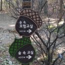 우면산유아숲체험장 Daum카페