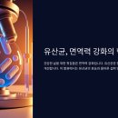 면역력 최고의 유산균 이야기 이미지