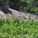 뽑기농장 이미지