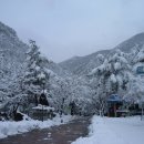 무릉계곡 이미지