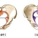 더블유필라테스 네이버블로그