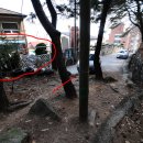 달오선원 티스토리