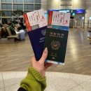 호주 신혼여행 1일차 이동편, 티웨이 TW501 후기 / 시드니 공항 환승 카페 추천