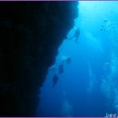 말라파스쿠아 다이빙 여행...3 이미지
